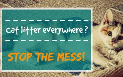 How To Stop Cat Litter Tracking And Ensuring Their Good Living Conditions