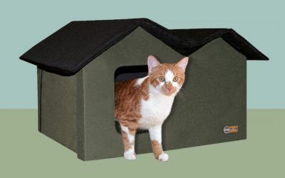 Tips to Make a Heated Outdoor Cat House