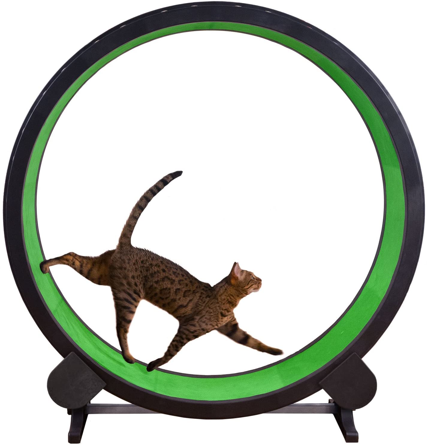 The Ultimate Cat Wheels A Complete Guide on Buying the Best Cat Wheels